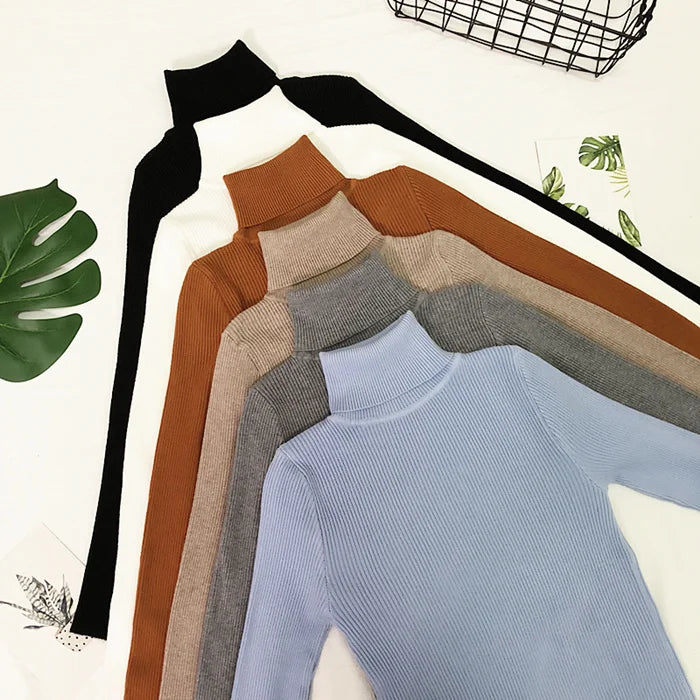 Fine-Knit Turtleneck Sweater