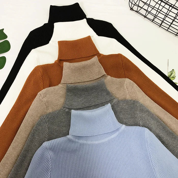 Thin Turtleneck Sweater