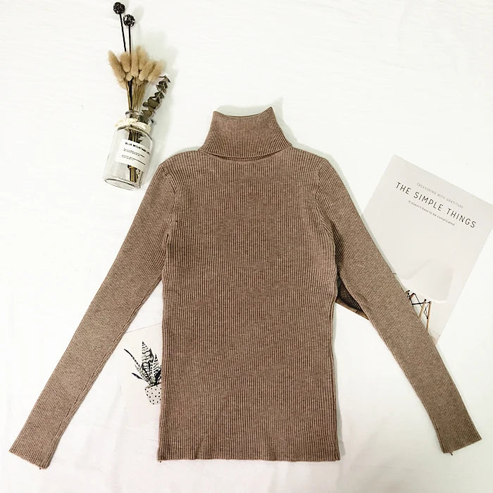 Thin Turtleneck Sweater