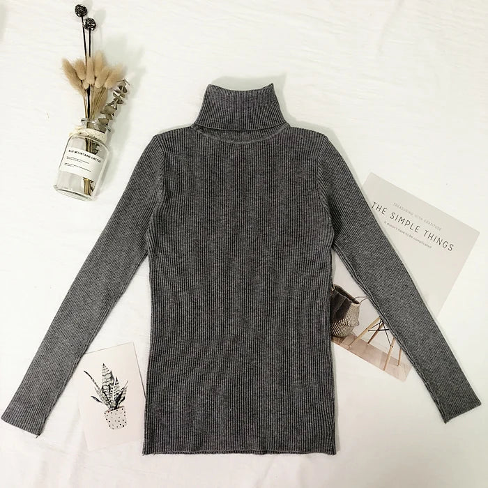 Fine-Knit Turtleneck Sweater