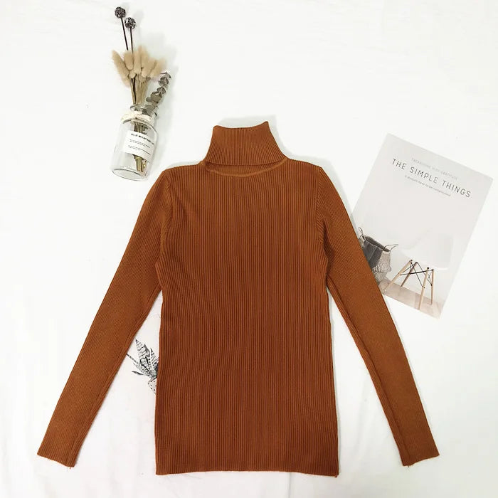 Fine-Knit Turtleneck Sweater