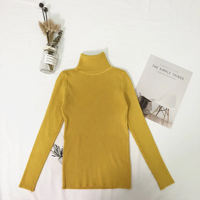 Thin Turtleneck Sweater