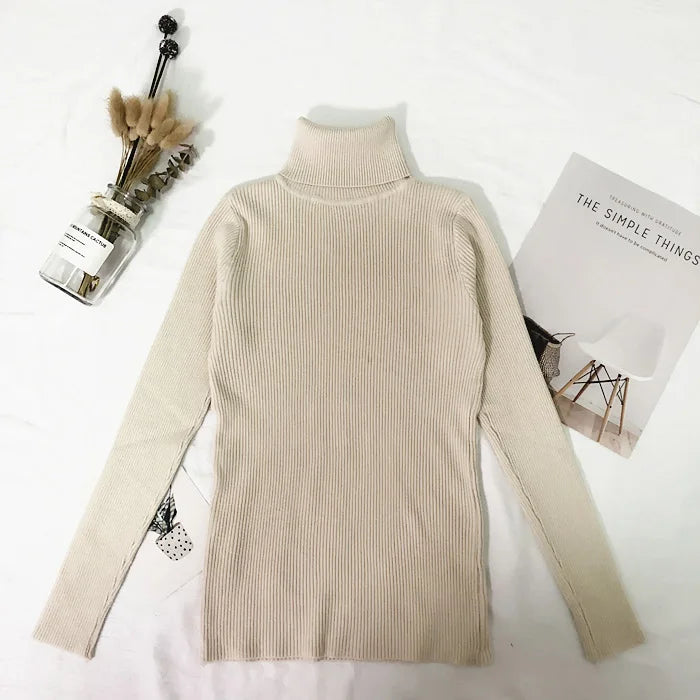 Fine-Knit Turtleneck Sweater