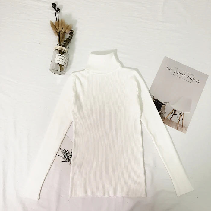 Thin Turtleneck Sweater