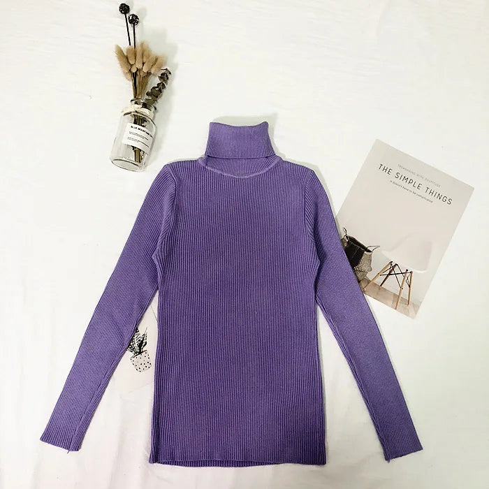 Thin Turtleneck Sweater