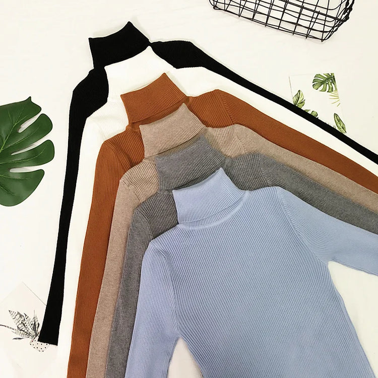 Fine-Knit Turtleneck Sweater