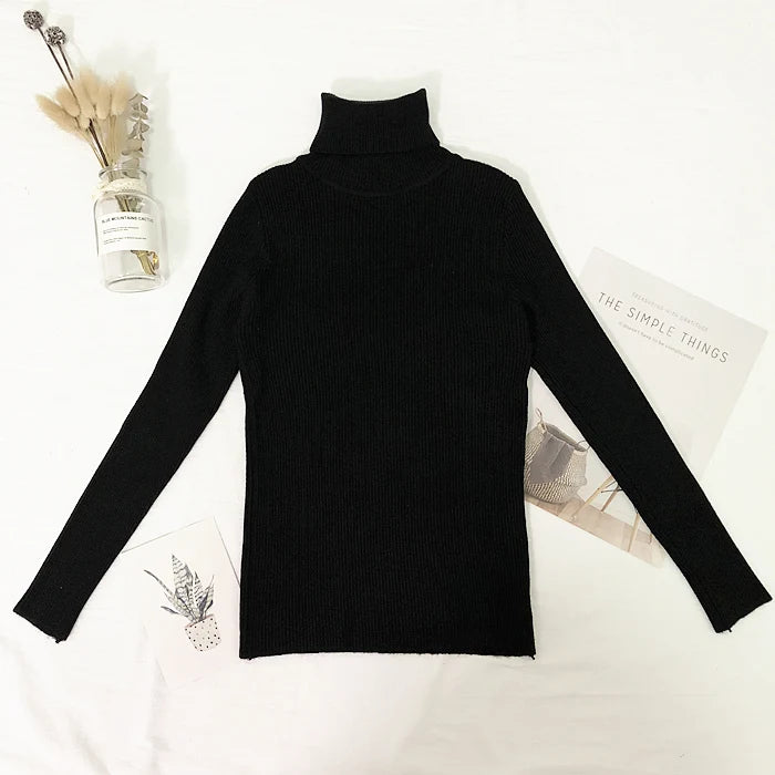 Fine-Knit Turtleneck Sweater