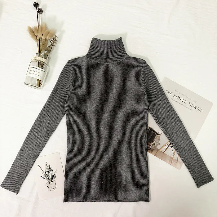 Thin Turtleneck Sweater