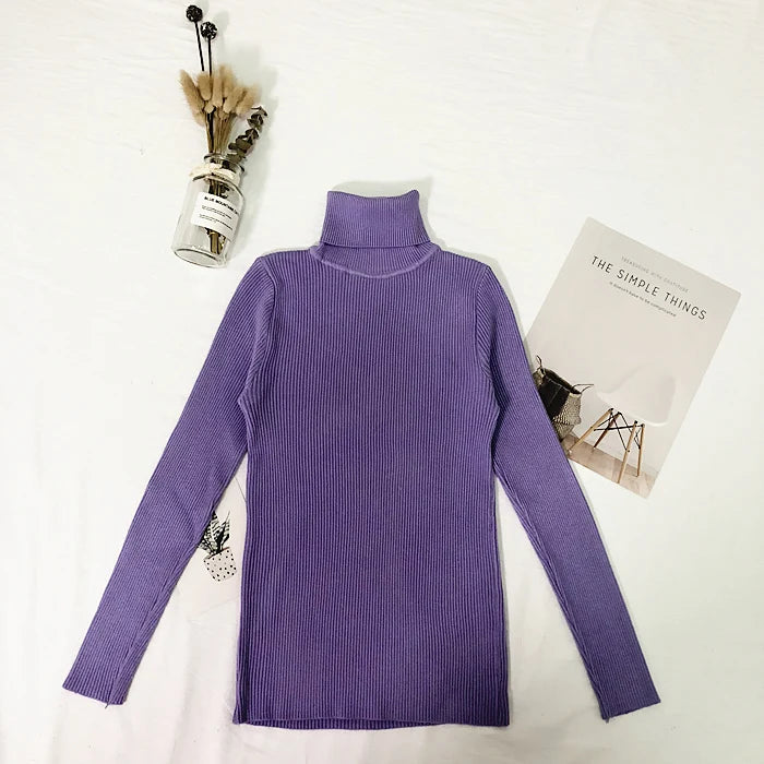 Fine-Knit Turtleneck Sweater