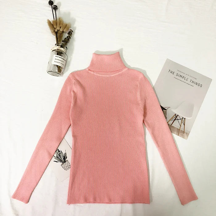 Thin Turtleneck Sweater