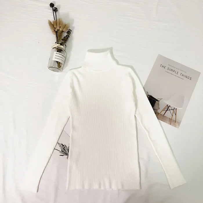 Thin Turtleneck Sweater