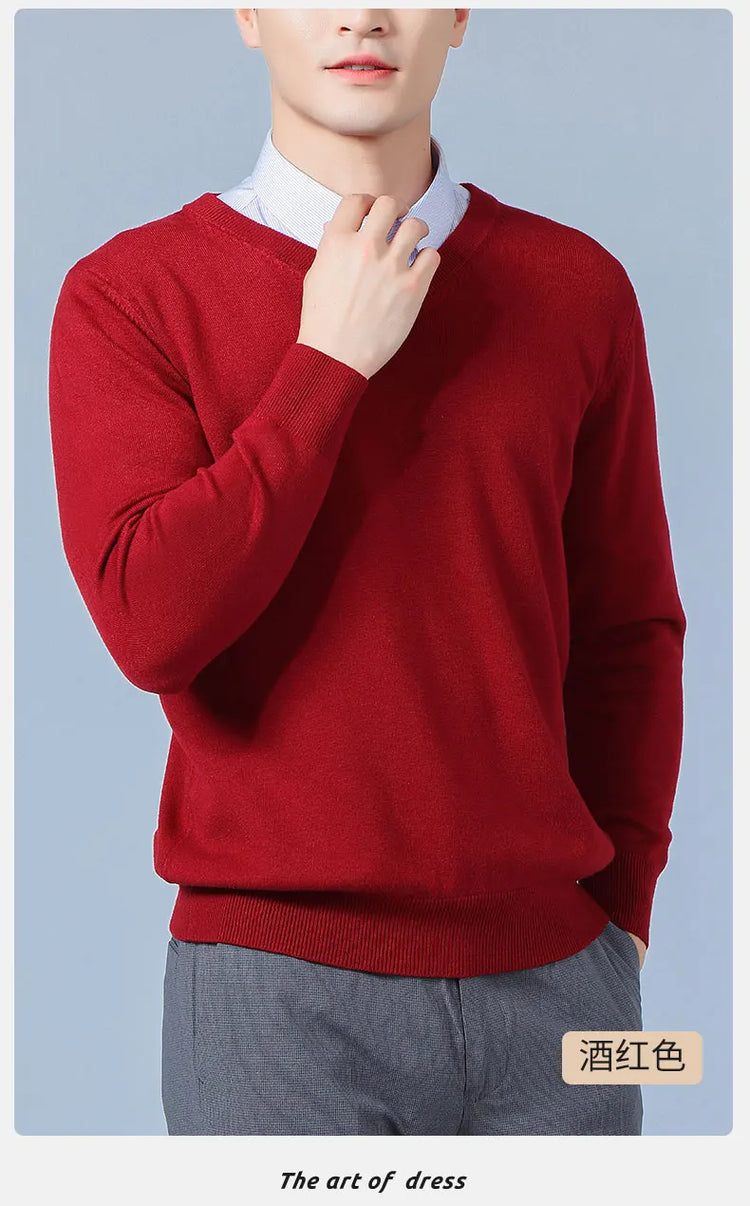 Men's V-Neck Knit Sweater