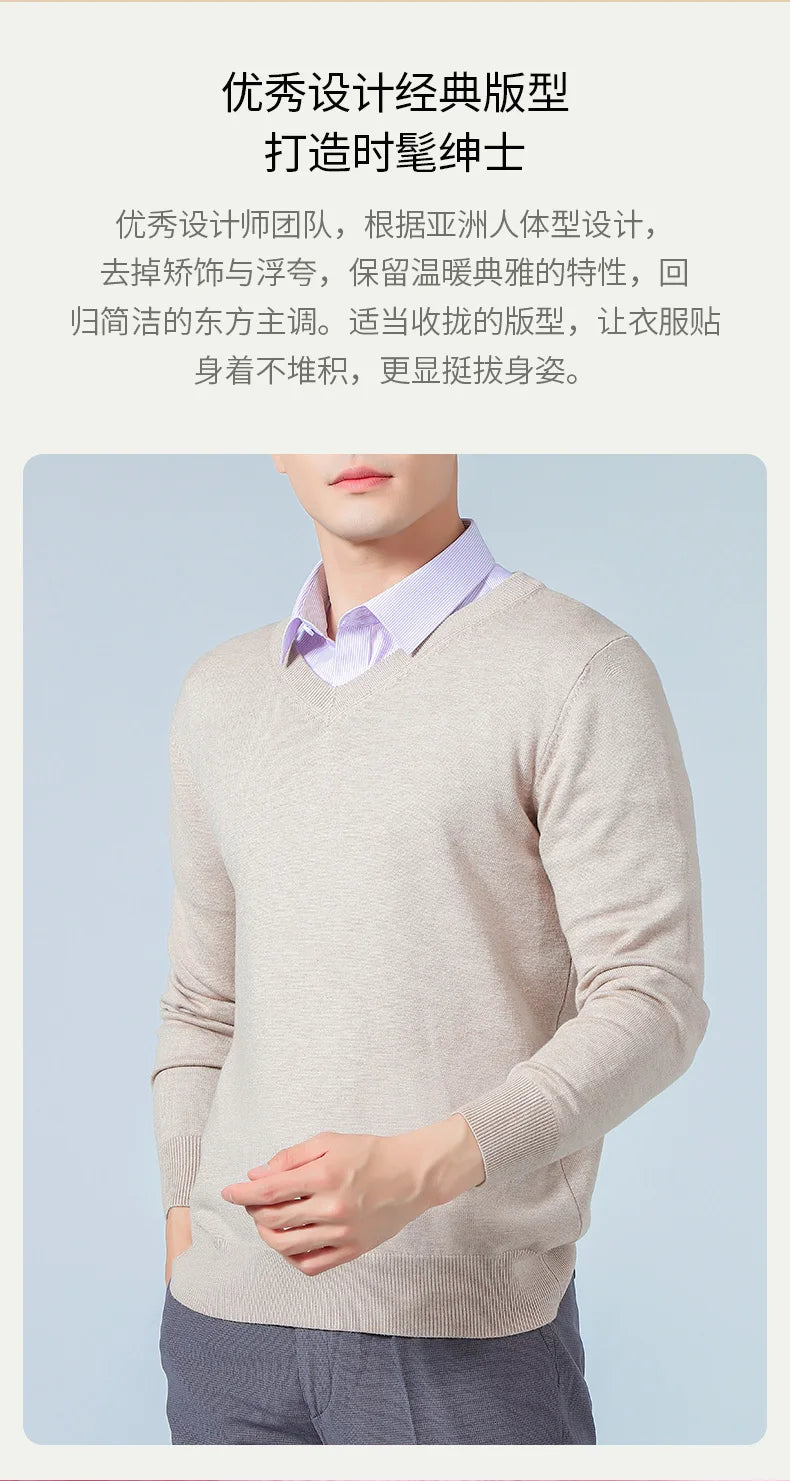 Men's V-Neck Knit Sweater