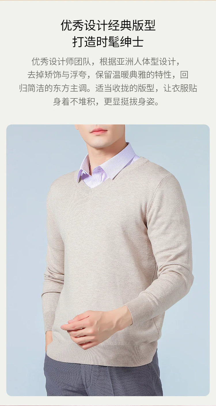 Men's V-Neck Knit Sweater