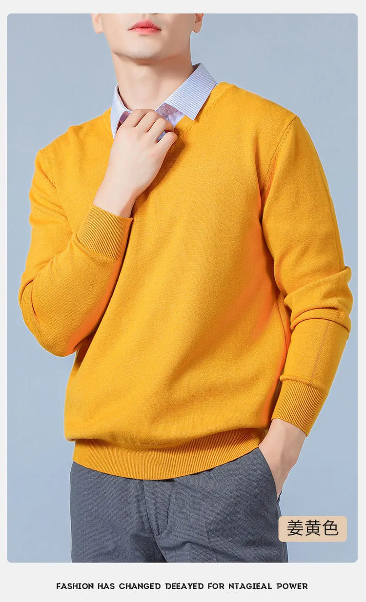 Men's V-Neck Knit Sweater