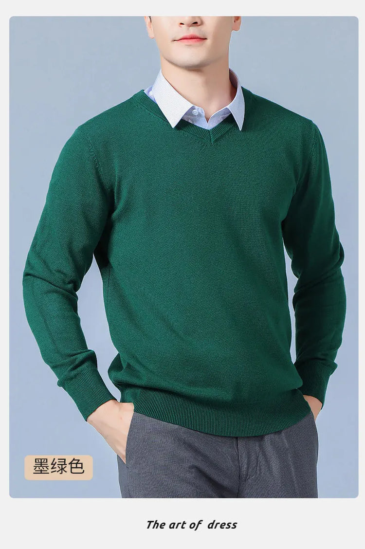Men's V-Neck Knit Sweater