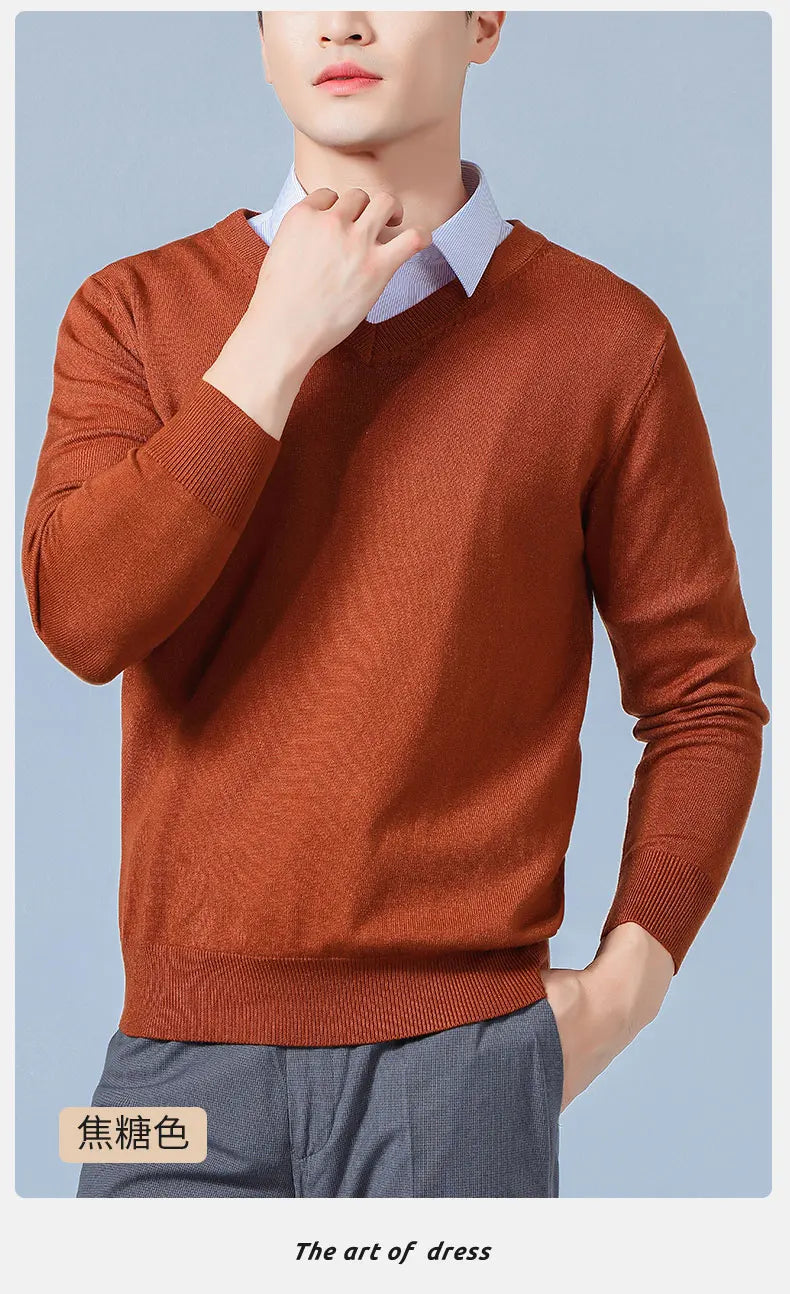 Men's V-Neck Knit Sweater