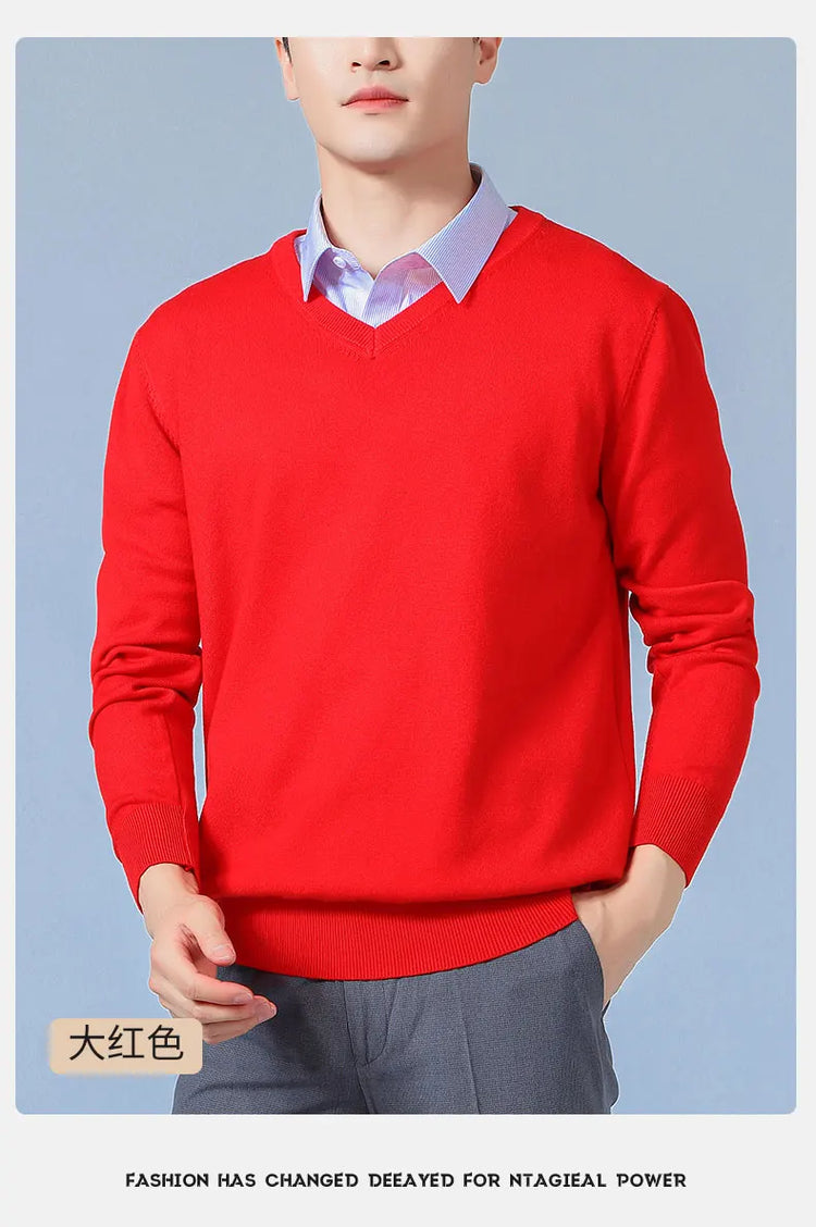 Men's V-Neck Knit Sweater