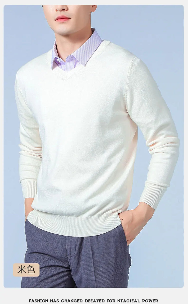 Men's V-Neck Knit Sweater