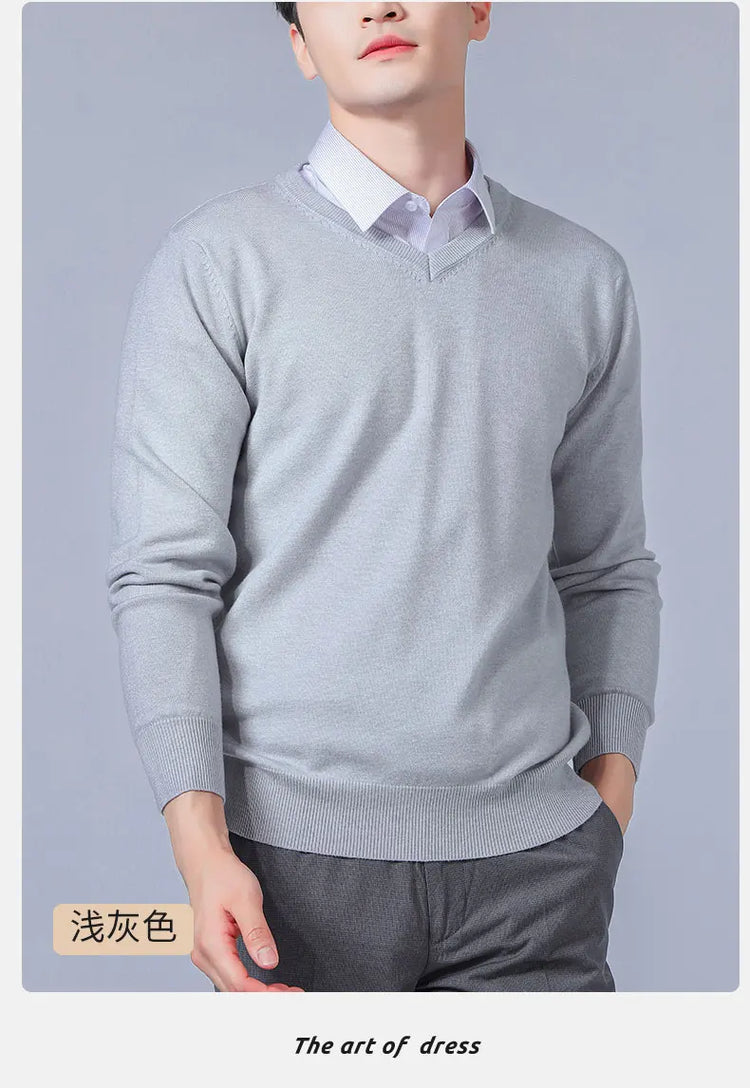 Men's V-Neck Knit Sweater
