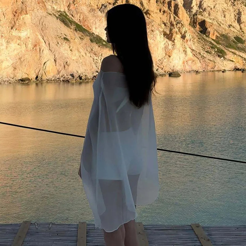 Sheer Chiffon Blouse
