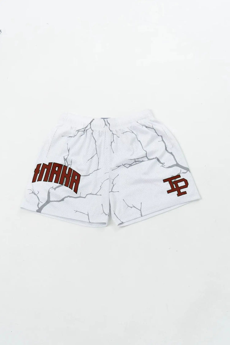 Men's Mesh Sports Shorts