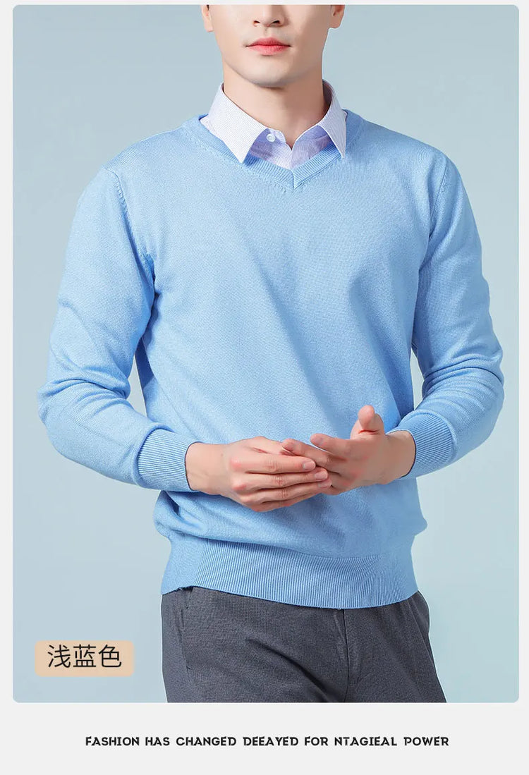 Men's V-Neck Knit Sweater