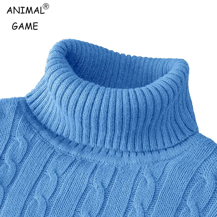 Men's Slim Turtleneck Sweater