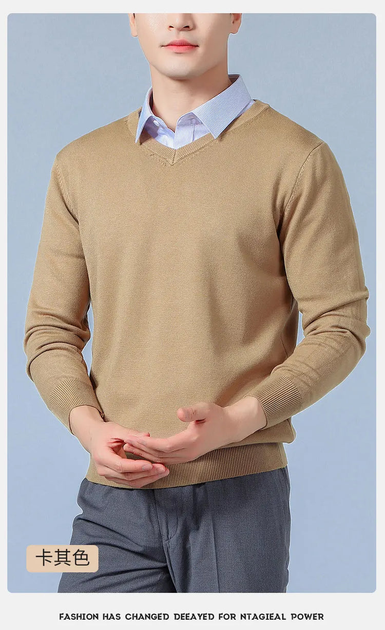 Men's V-Neck Knit Sweater